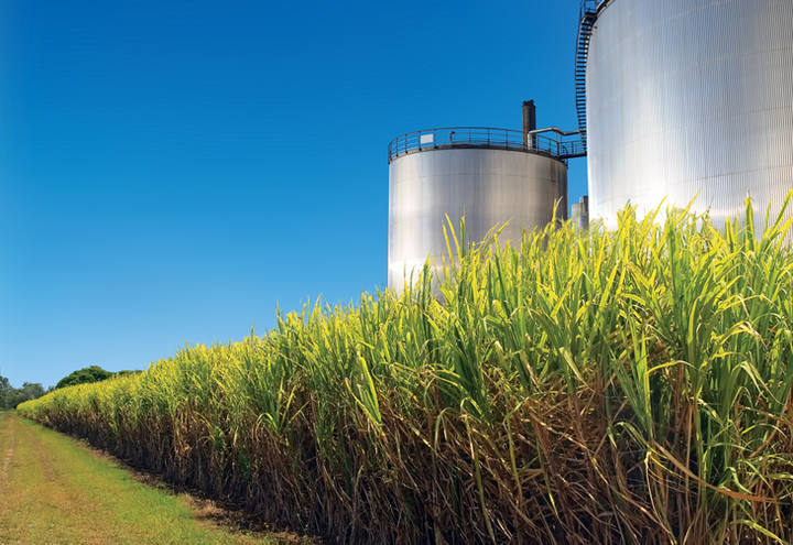 Produção de etanol hidratado cresce 15,4% no centro-sul em meio a vendas aquecidas